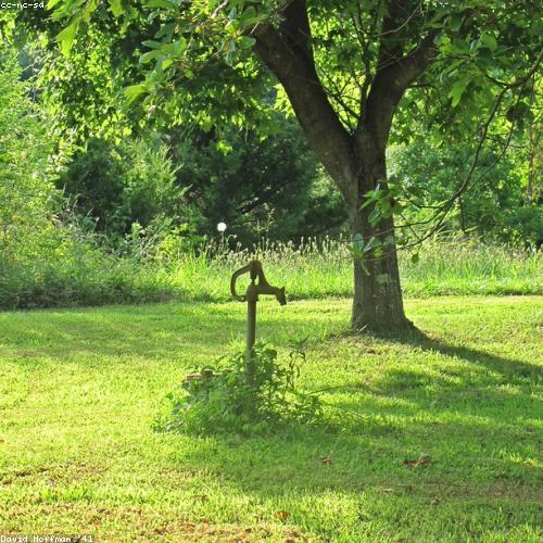 อะไหล่ ปั๊มน้ำ เกรดแท้ศูนย์ (OEM) No.100